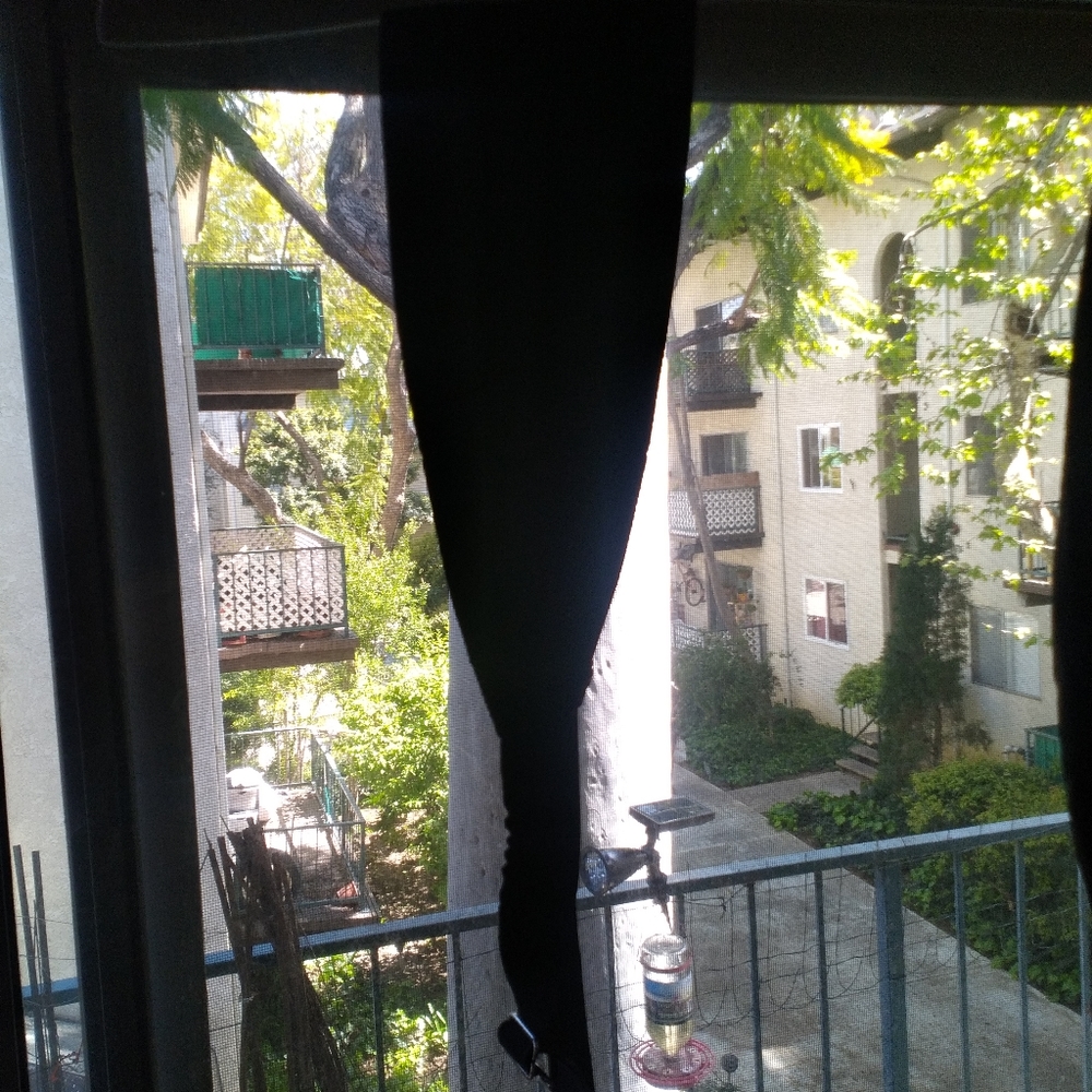 Tuxedo Ensemble - image 2